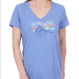 Patagonia Raindrop Peak V-Neck Organic Cotton Short Sleeve Tee